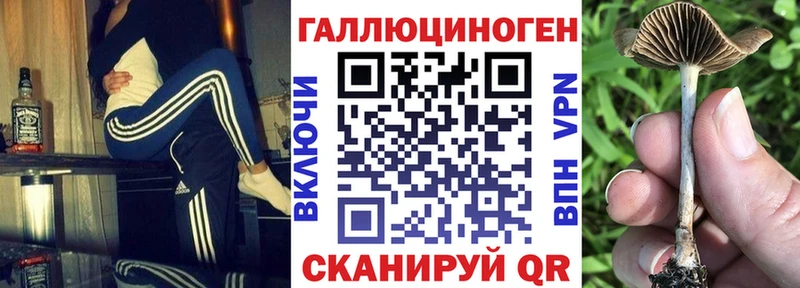 Галлюциногенные грибы мухоморы  Электроугли 
